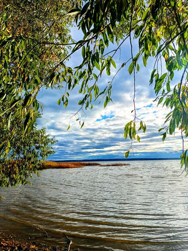 Photograph by Анна