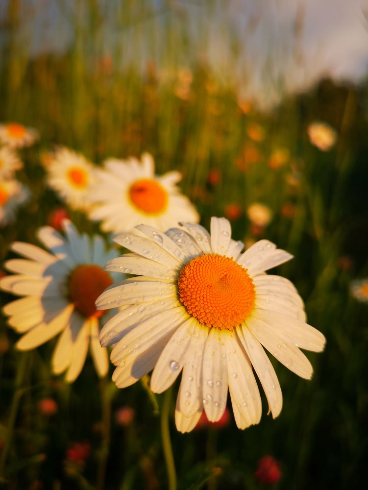 Photograph by Юлия