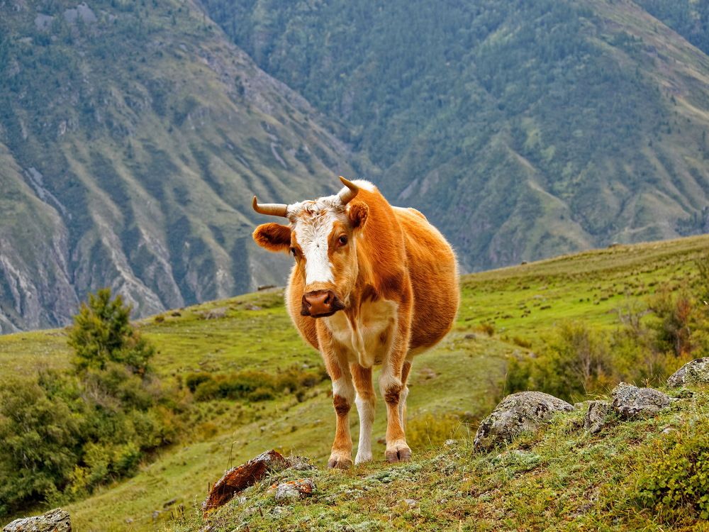 Photograph by Андрей Панин