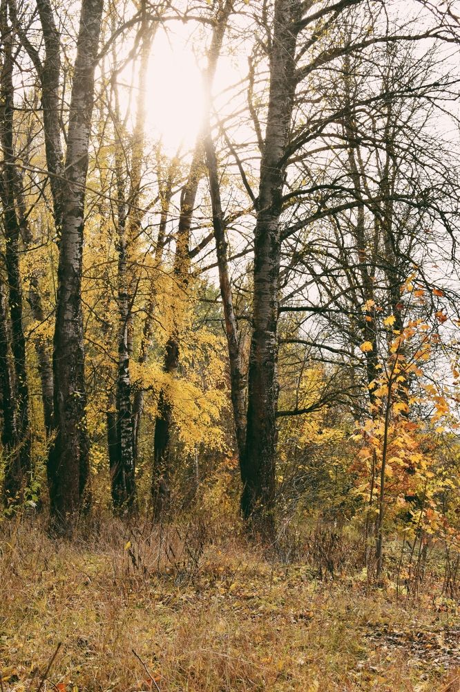 Фотография автора Catherine Shashkova