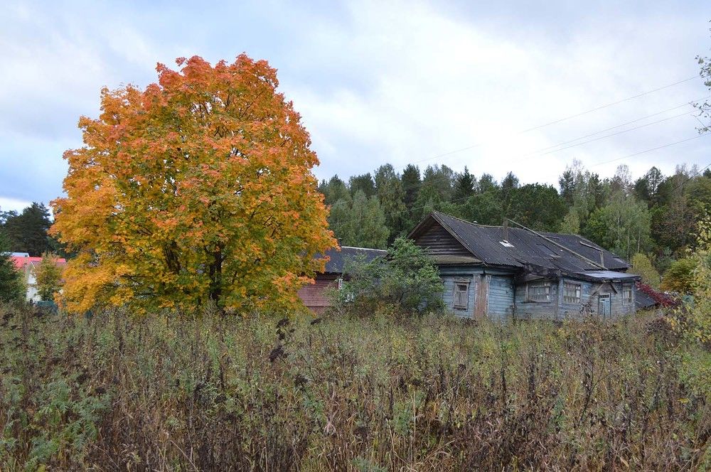 Photograph by Ксения