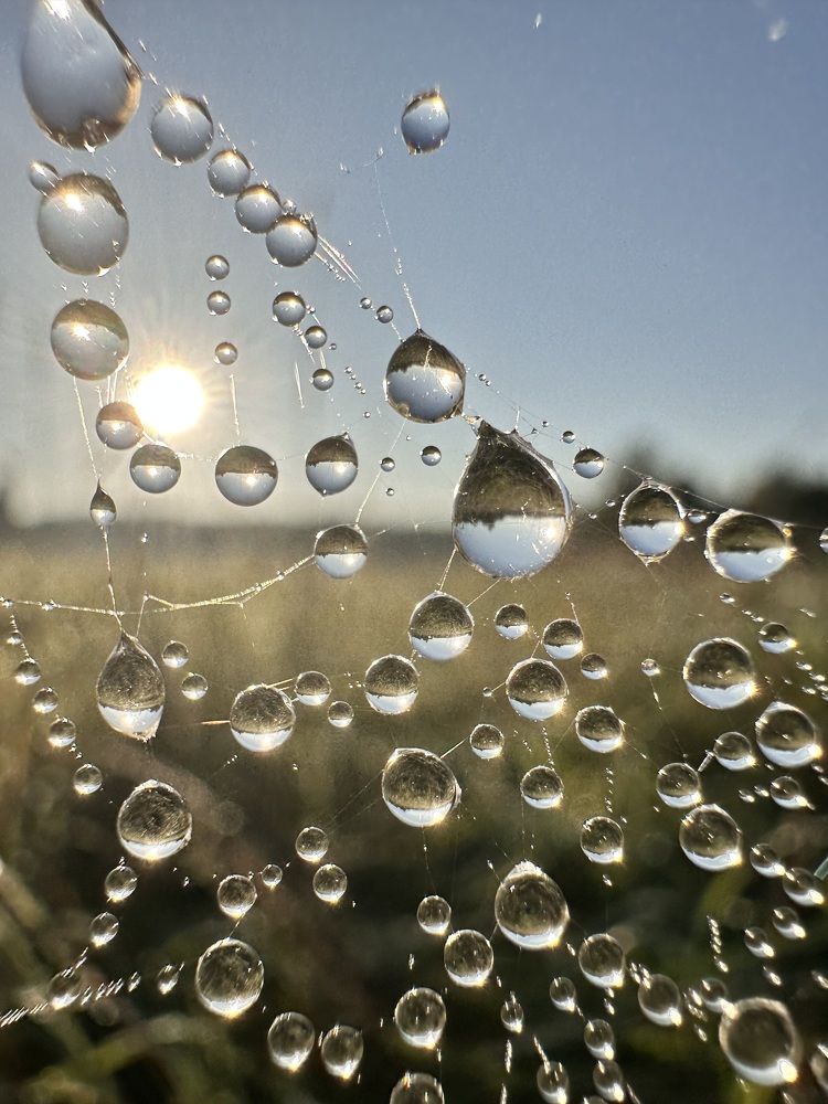 Photograph by Лариса Акинчиц