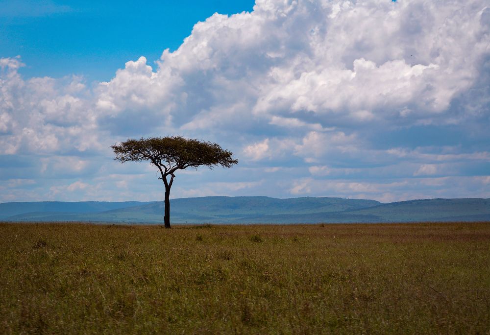 Photograph by Inna Ivanova