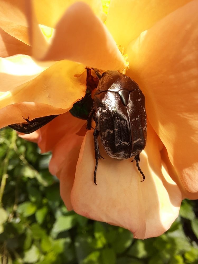 Photograph by Елена Валерьевна