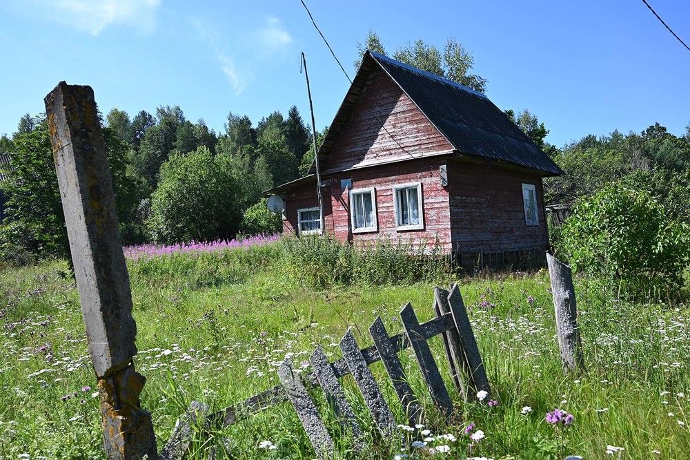 Photograph by Ксения