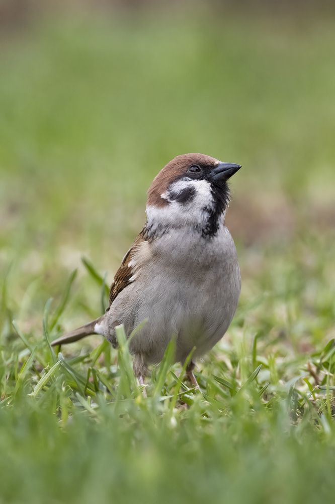 Photograph by Пономарев Илья