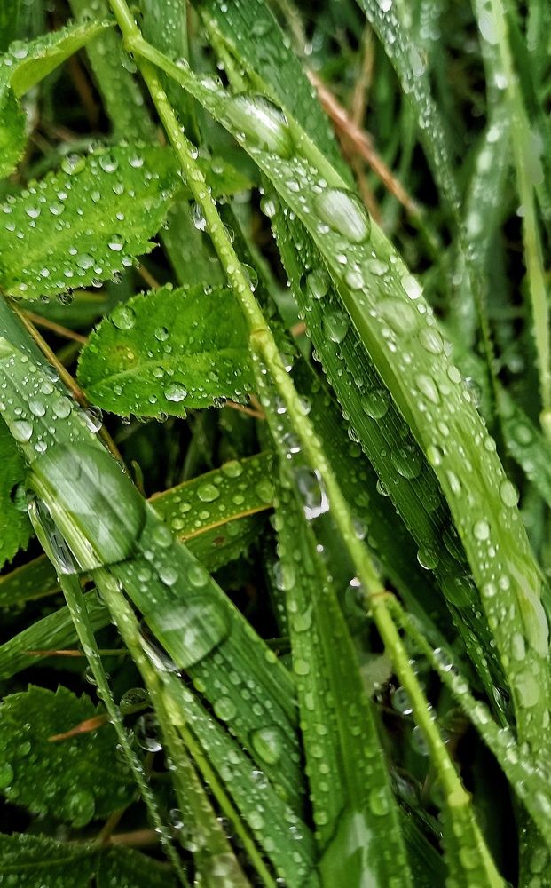 Фотография автора Евгения Зайцева