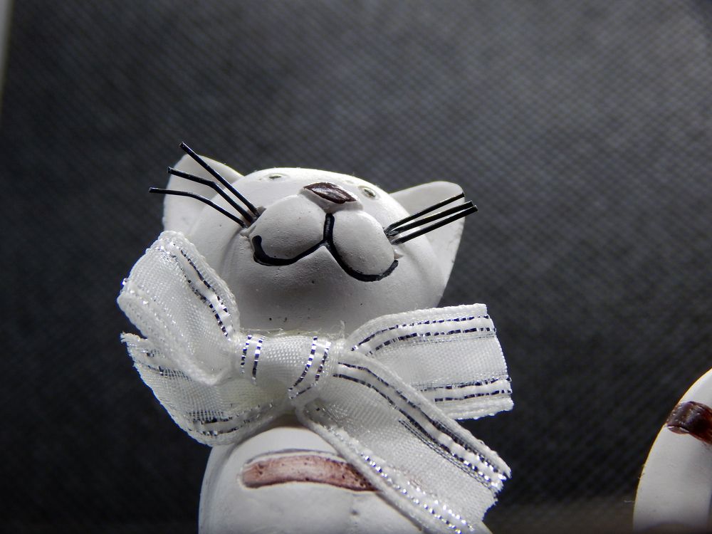 Фотография автора Валерий Цуркан