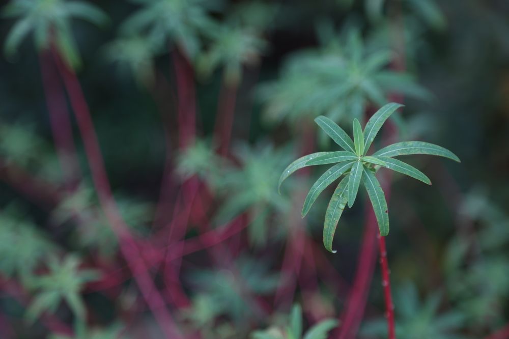 Фотография автора Алина Ефимова