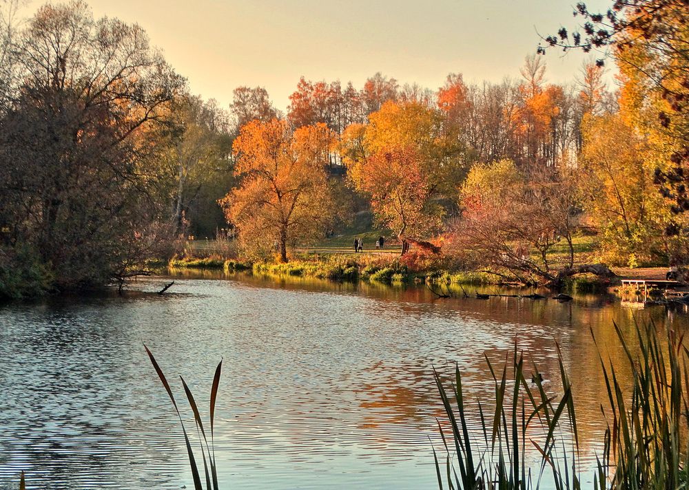 Краски осени на реке