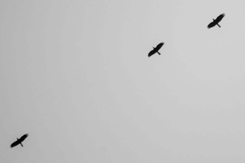 Photograph by Фримэн Андрей