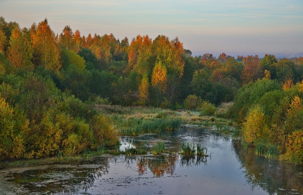 Photograph by Кузьмин Юрий
