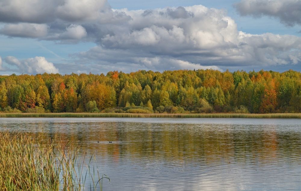 Photograph by Кузьмин Юрий