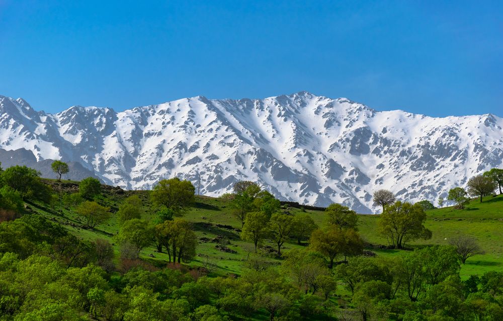 Photograph by Ehsan Fathi