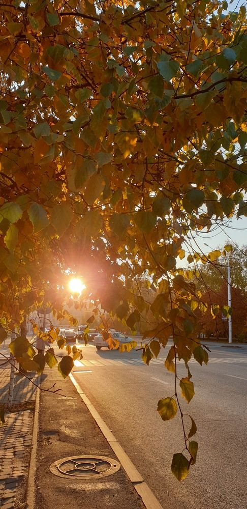 Городской осенний пейзаж