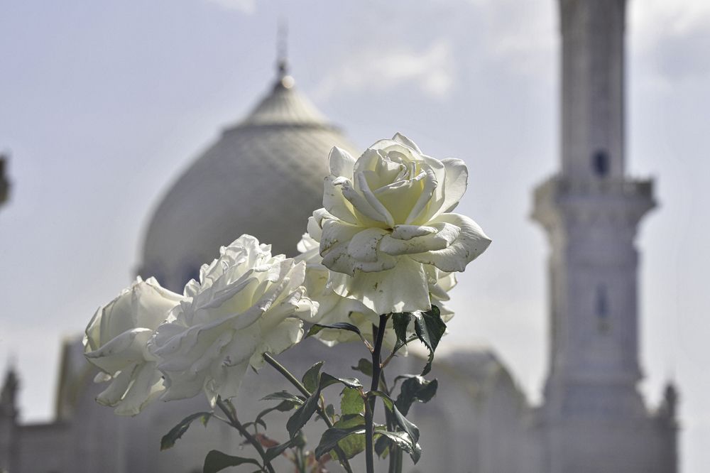 Photograph by Юрий Платухин