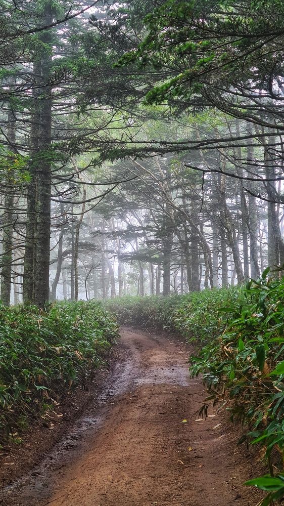 Photograph by Оксана Новикова