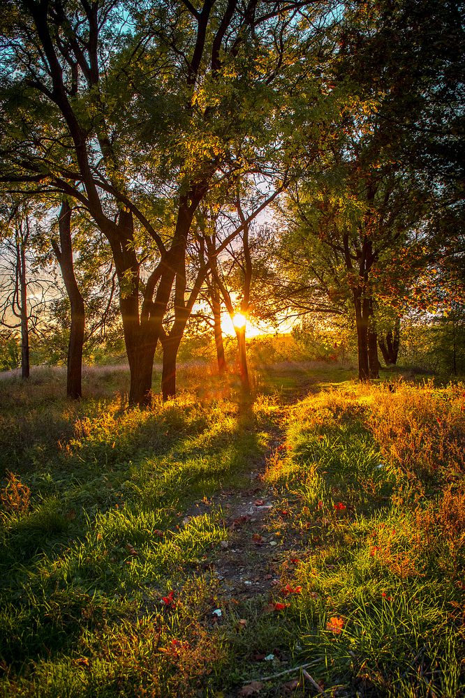 Photograph by Марина Канавченко