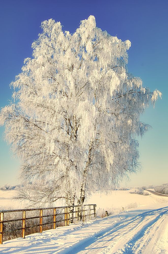 Photograph by Janis Serdienis