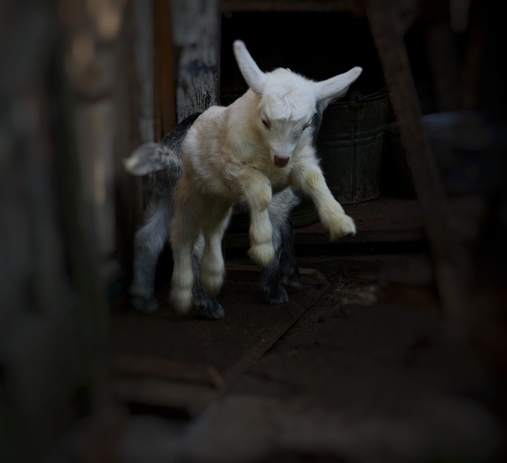 Photograph by Сергей Симаков