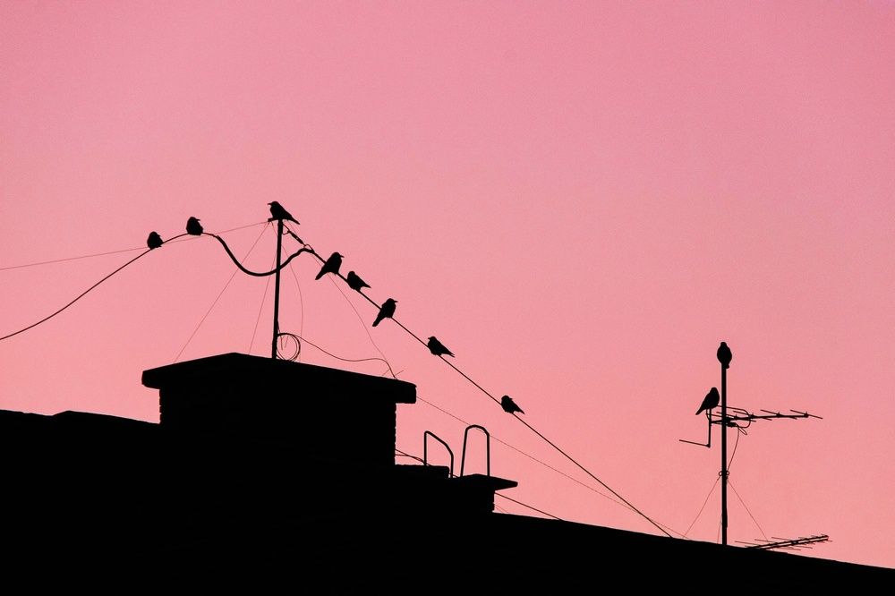 Фотография автора Александр Крапачев