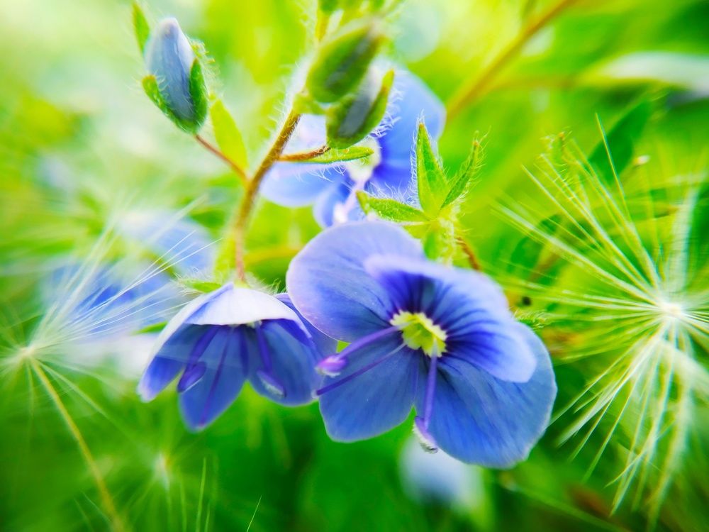 Photograph by Любовь Коровацкая