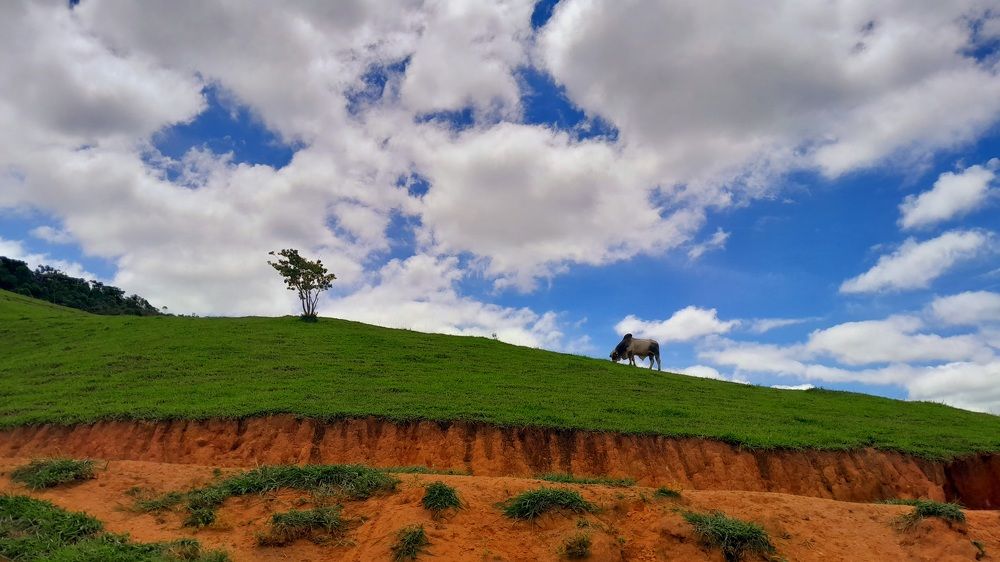 Photograph by Marie G