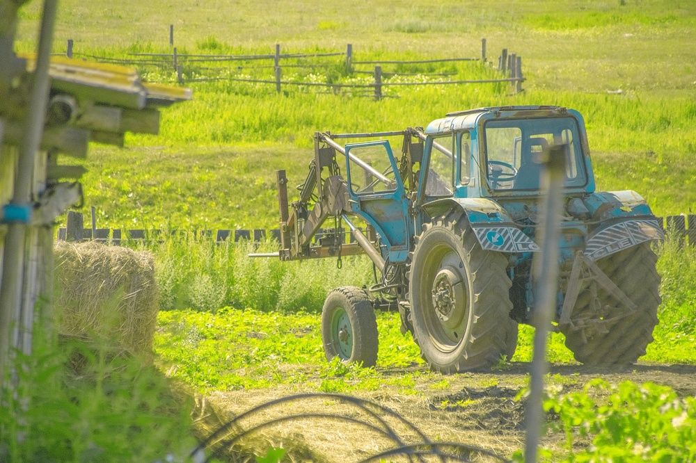 Фотография автора Александр Крапачев