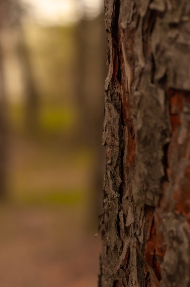 Photograph by Виктория Павлюк