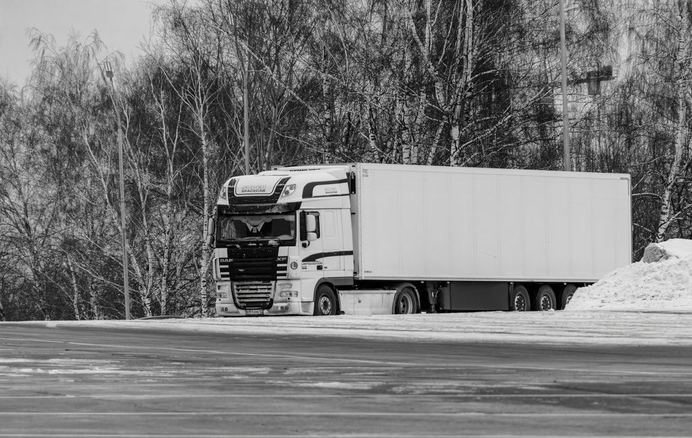 Photograph by Алексей Чеботарев