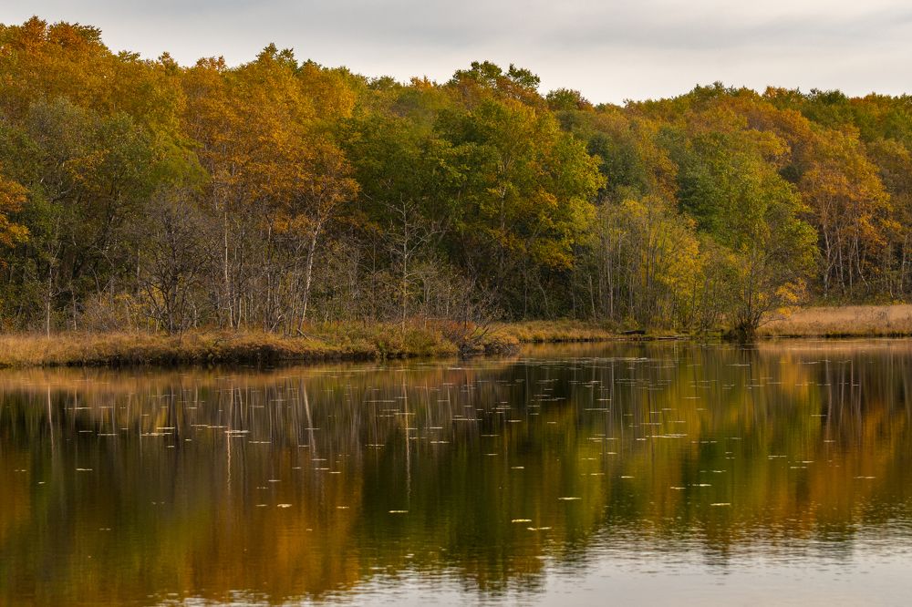 Photograph by Наталья Королева