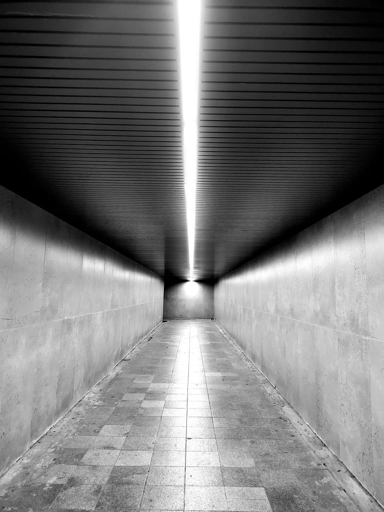 Фотография автора АНАСТАСИЯ ЛЕВИНА