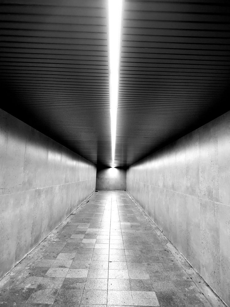 Фотография автора АНАСТАСИЯ ЛЕВИНА