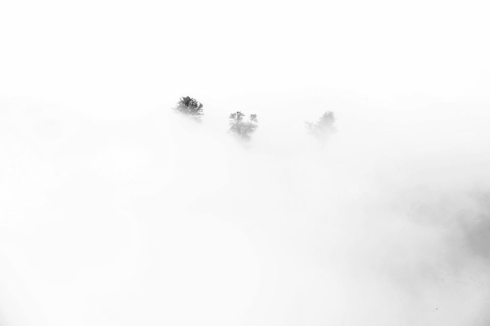 Фотография автора Mohammad davarpanah