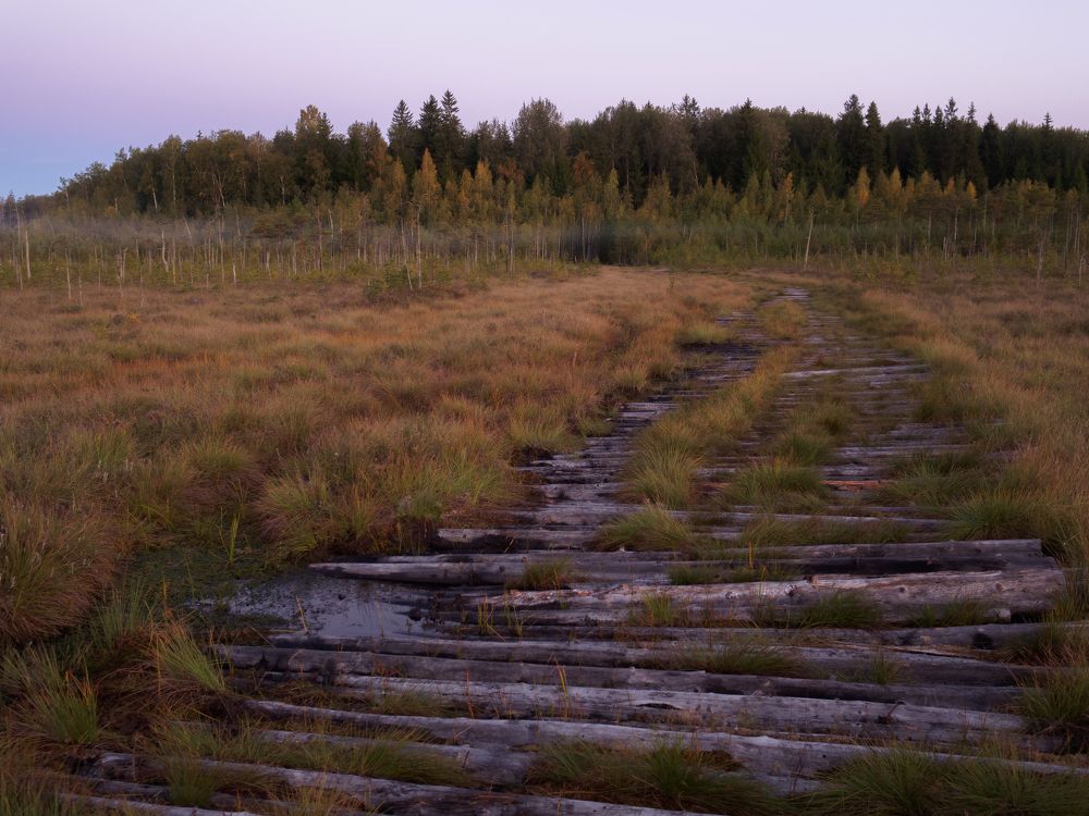 Фотография автора Андрей Врубель