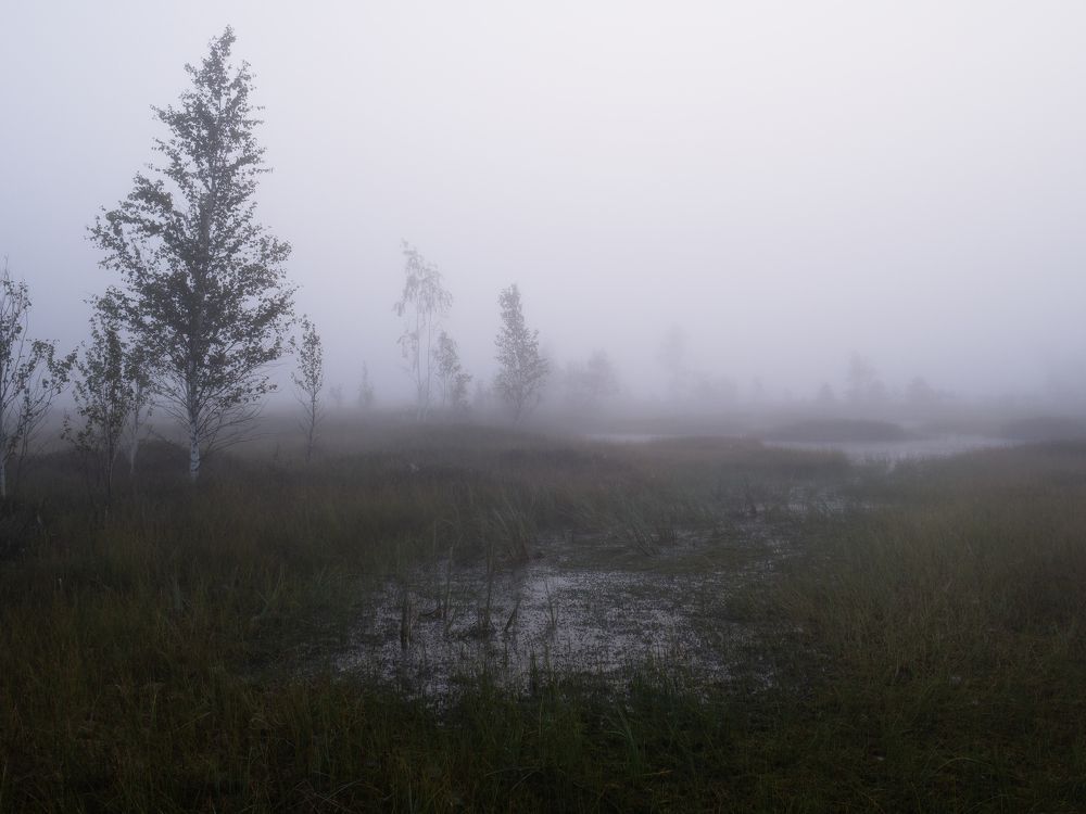 Фотография автора Андрей Врубель