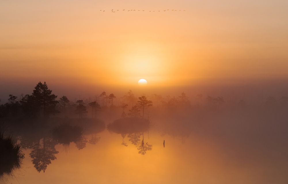 Фотография автора Андрей Врубель