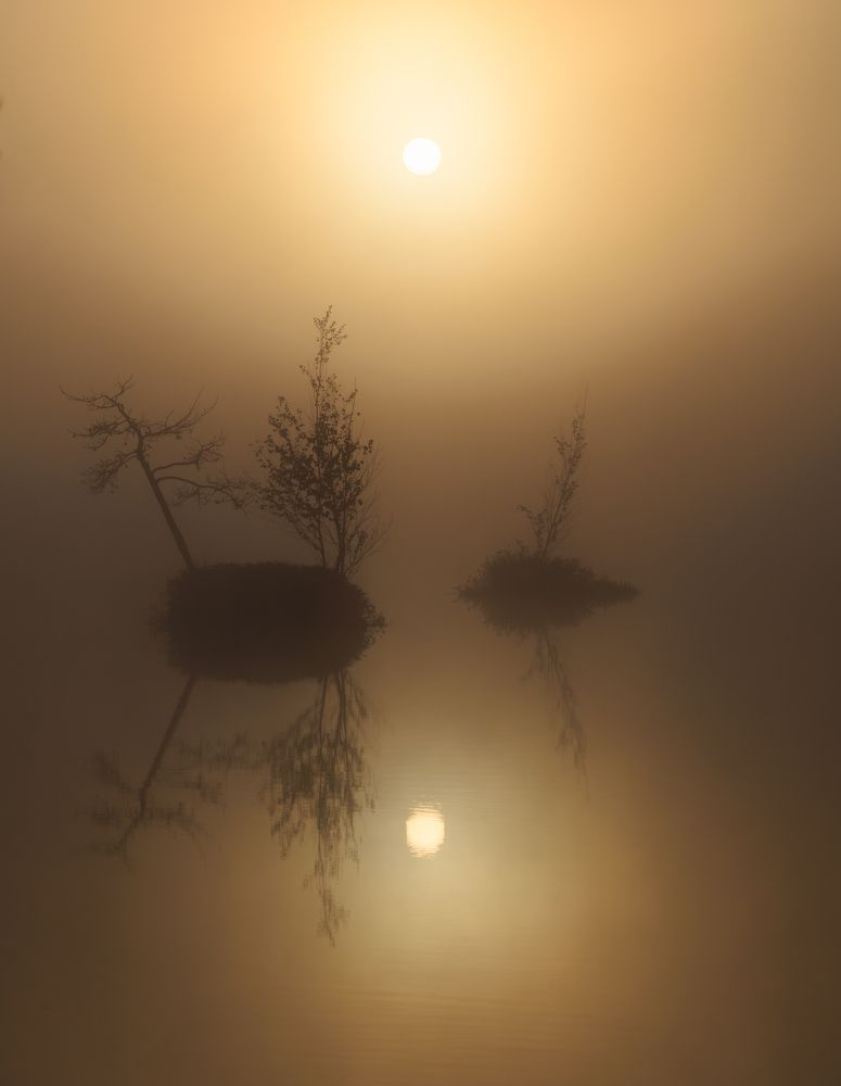 Фотография автора Андрей Врубель
