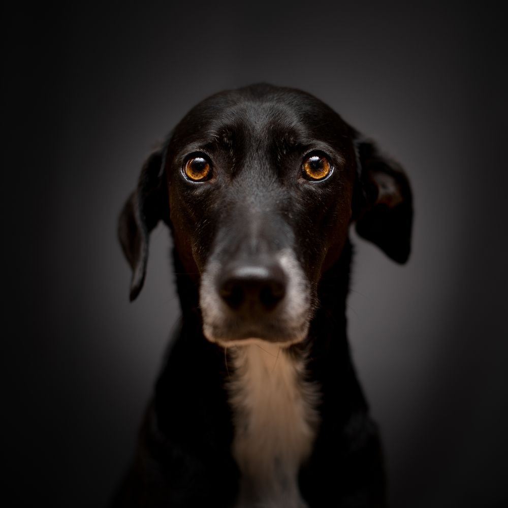 Photograph by Karoline Palme