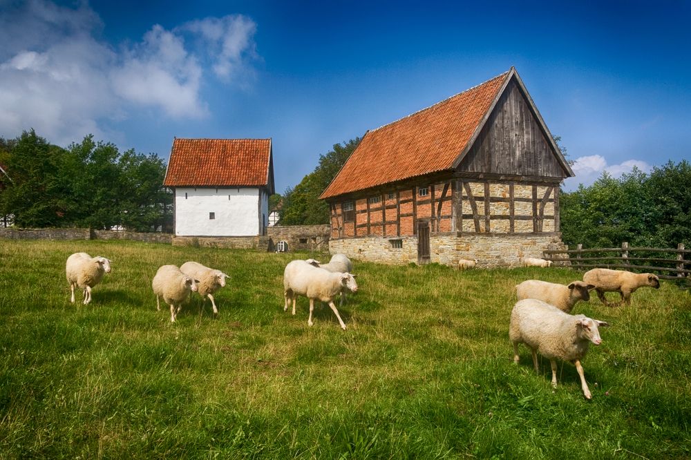 Photograph by Ирина Шумахер