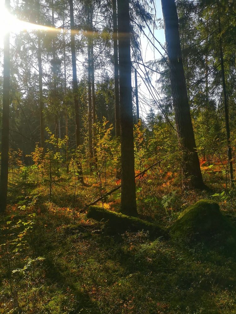 Photograph by Екатерина Борисовна Кузьмина