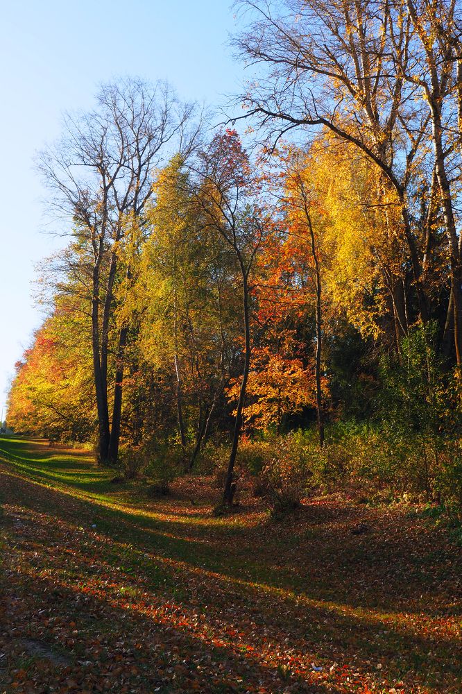 Photograph by Яр Ник