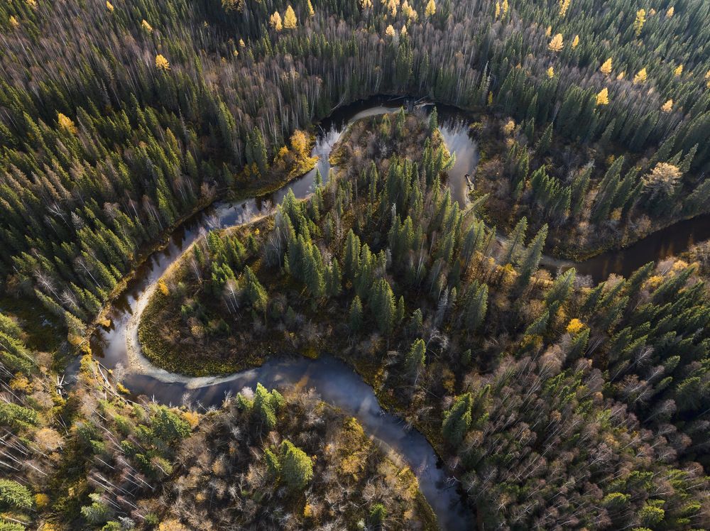 Photograph by Гончаренко Денис