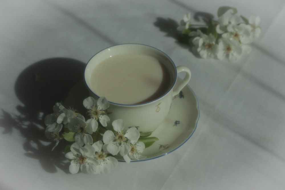 Photograph by Елена Михайлова