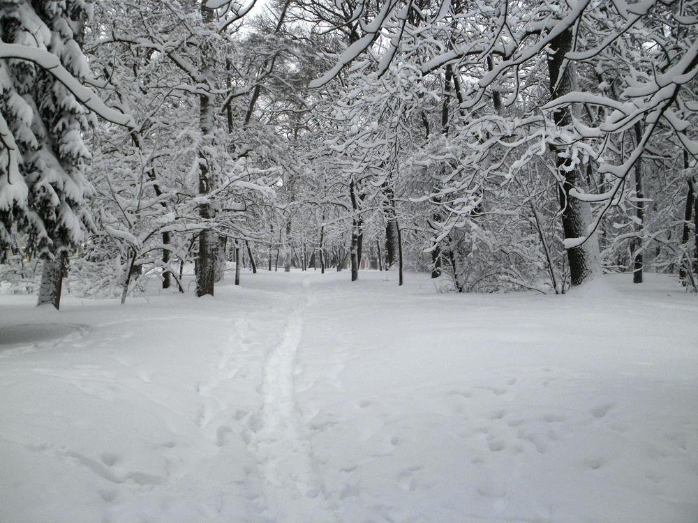 Photograph by Fantomas