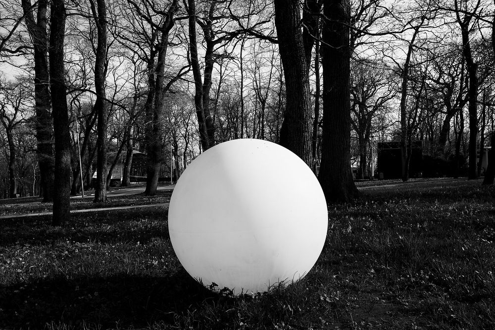 Photograph by Loptev Andrey