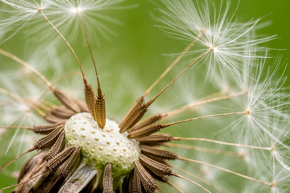 Photograph by María Paula Lozano