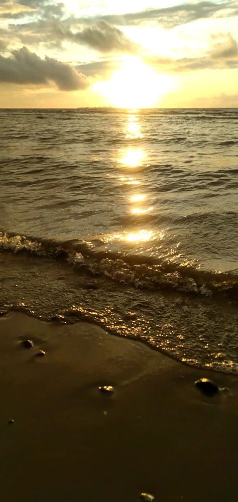 Photograph by Любовь Макарова