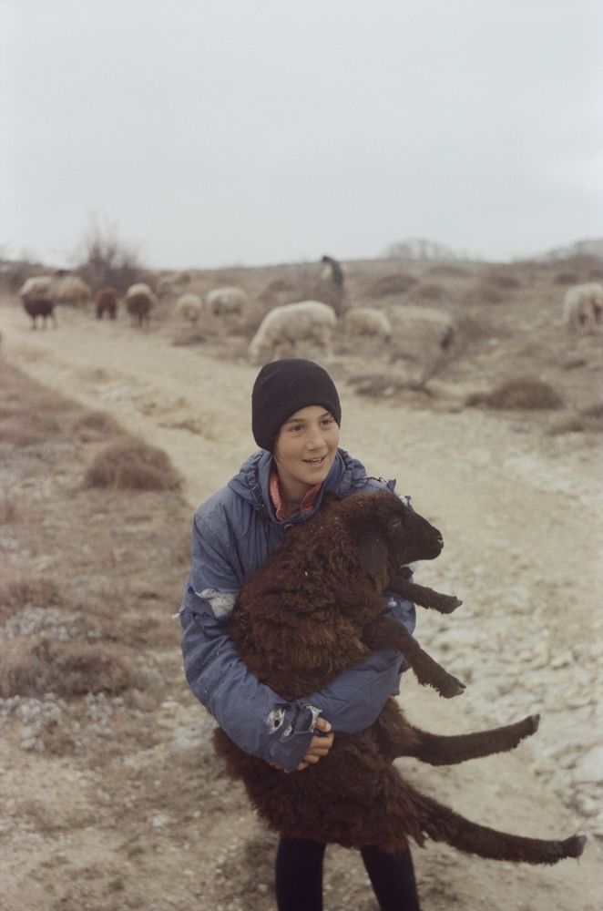 Photograph by Анастасия Оленченко