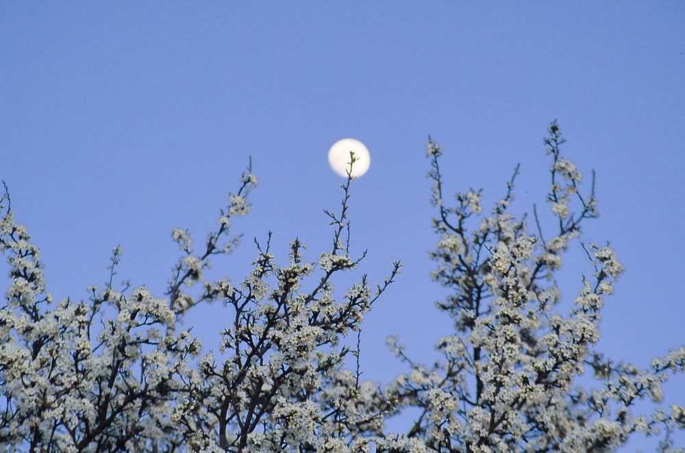 Фотография автора Ketov Vladimir